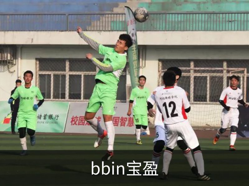 bbin宝盈概况